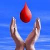 سازمان انتقال خون شهر قدس